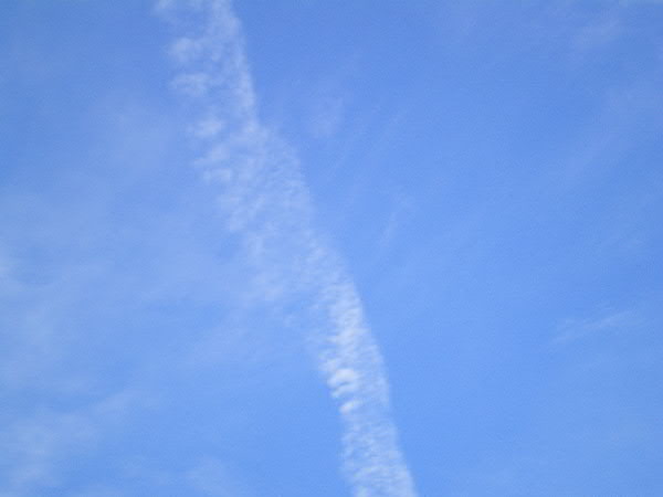 e0017051_8245051.jpg