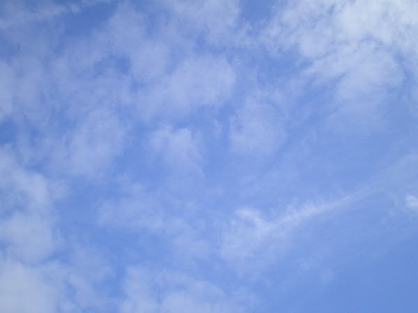 e0017051_8252538.jpg