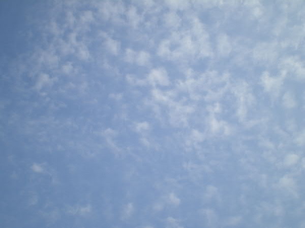 e0017051_8254238.jpg