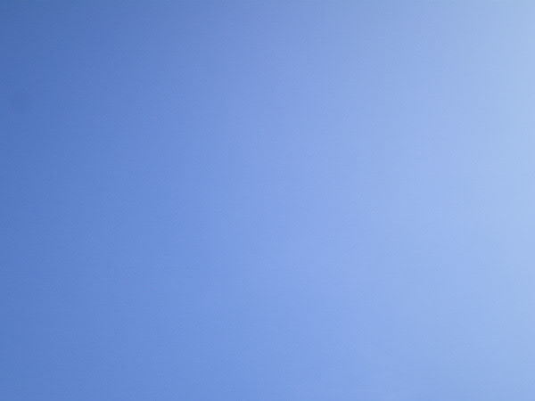 e0017051_8255621.jpg