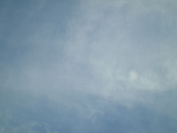 e0017051_825613.jpg