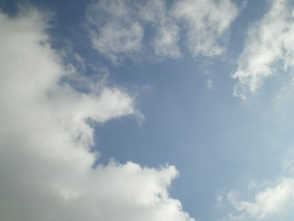 e0017051_826111.jpg