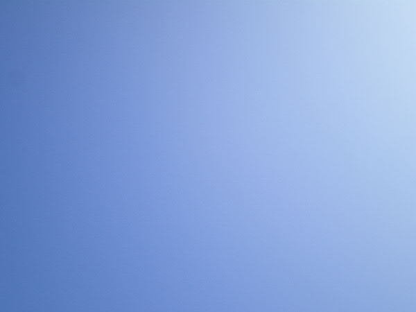 e0017051_8263615.jpg