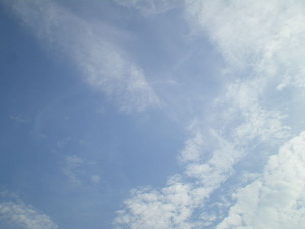 e0017051_8265826.jpg
