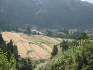 a0052952_1814068.jpg