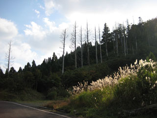 a0052952_1824486.jpg