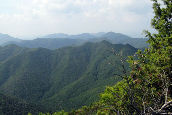 f0007956_20204527.jpg