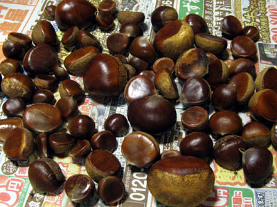 f0007956_20221520.jpg