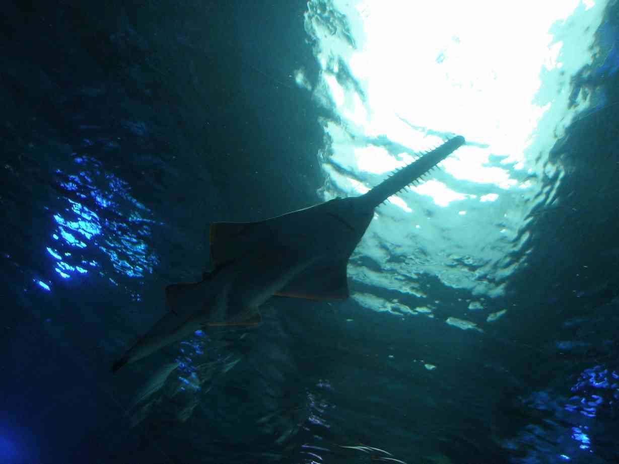 d0008157_155287.jpg