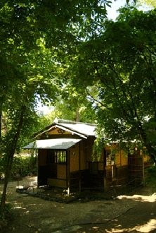 b0047958_2373020.gif