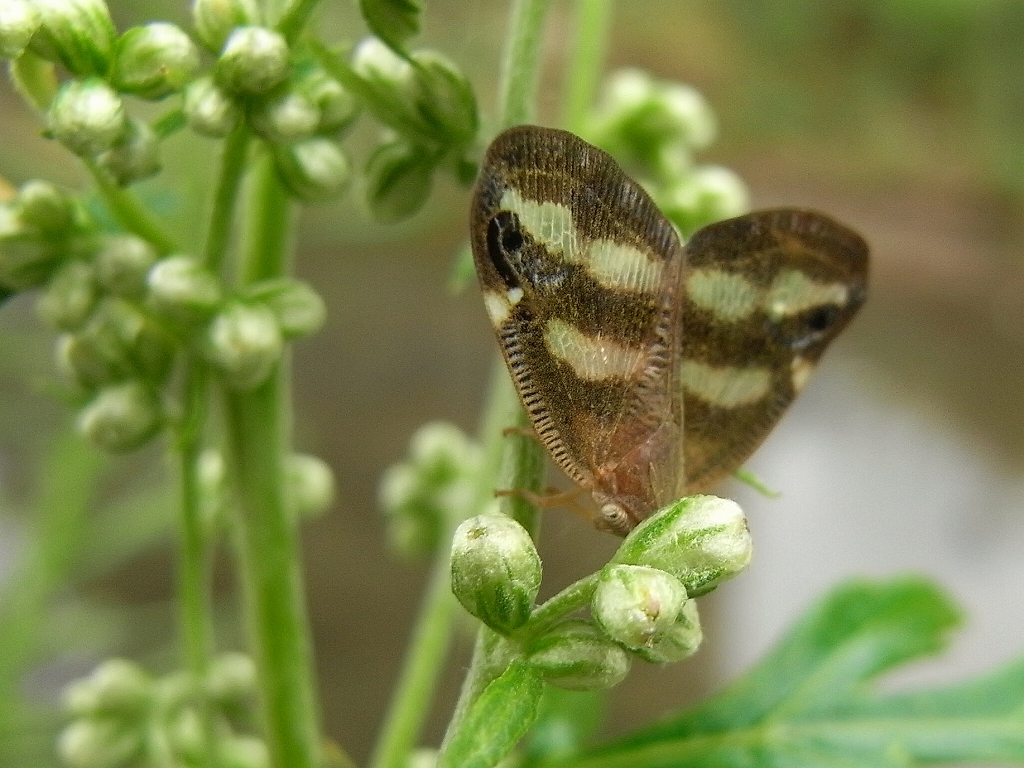 c0142963_7352429.jpg
