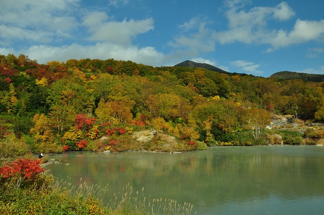 c0048667_23314213.jpg