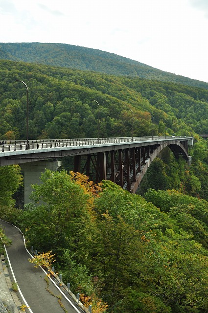 c0048667_2332133.jpg