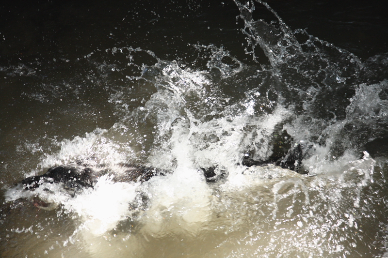 f0039367_1794413.jpg
