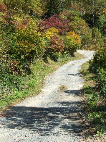 a0094280_20345423.jpg