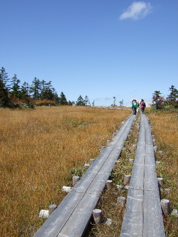 a0094280_21215100.jpg