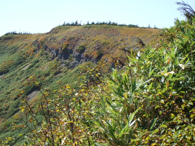 a0094280_213075.jpg