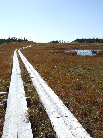 a0094280_2134531.jpg