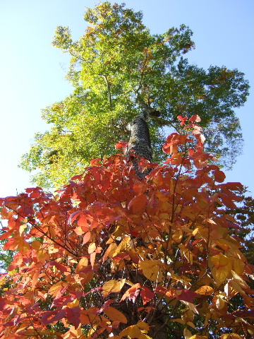 a0094280_2222549.jpg