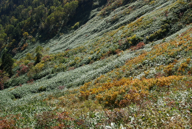 a0094280_2294545.jpg