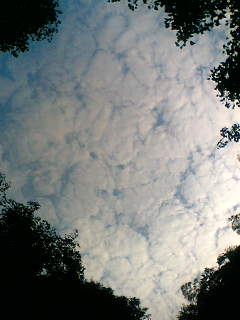 f0100480_19163945.jpg