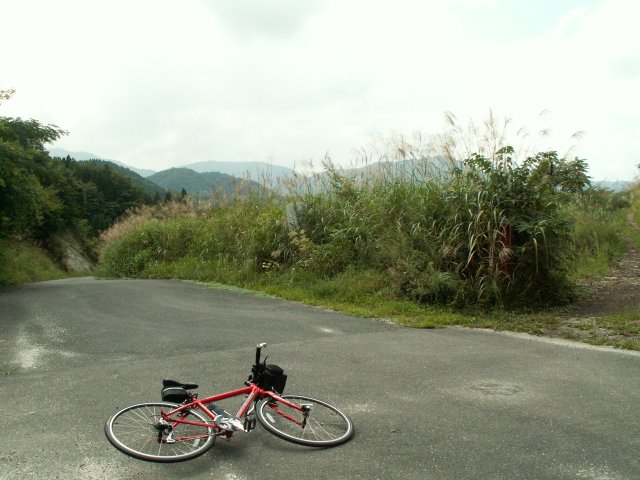 a0060882_22381.jpg