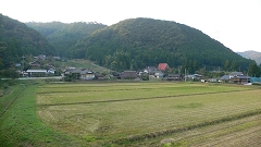 b0042882_183727.jpg