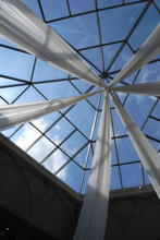 c0130986_914584.jpg