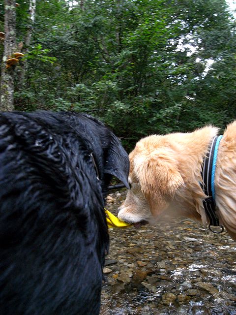 a0093592_015403.jpg