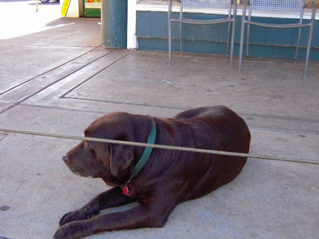 e0120294_1024161.jpg