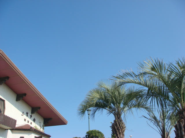f0137694_751032.jpg
