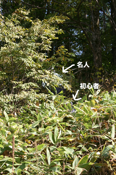 f0001895_1957644.jpg