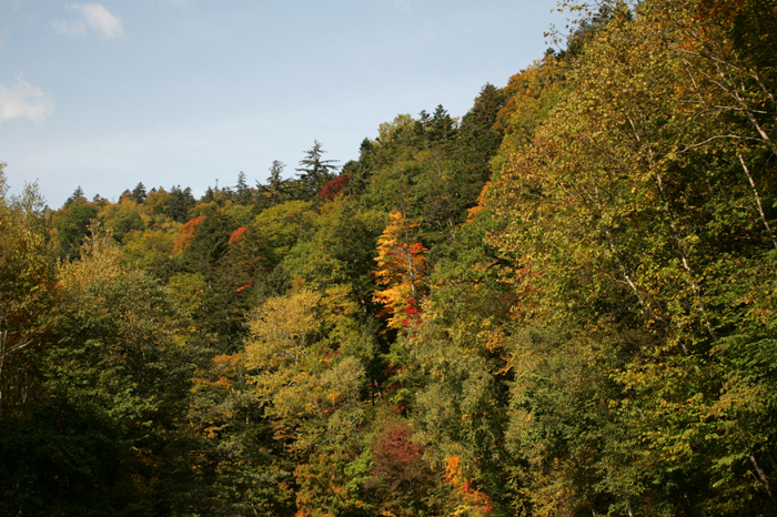 f0001895_2012576.jpg