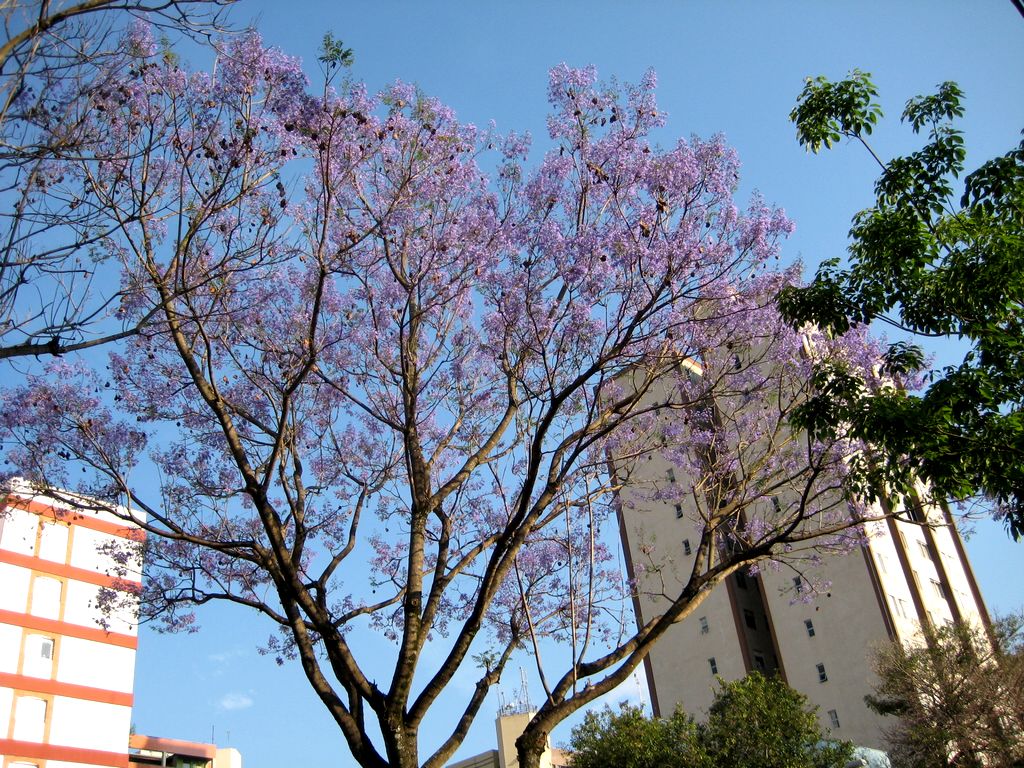 e0118096_58853.jpg