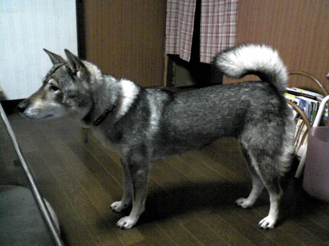 f0079202_224725.jpg