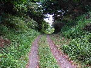 f0061705_21441495.jpg
