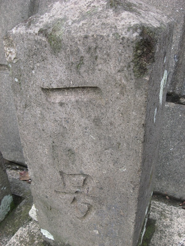 d0011406_1433386.jpg