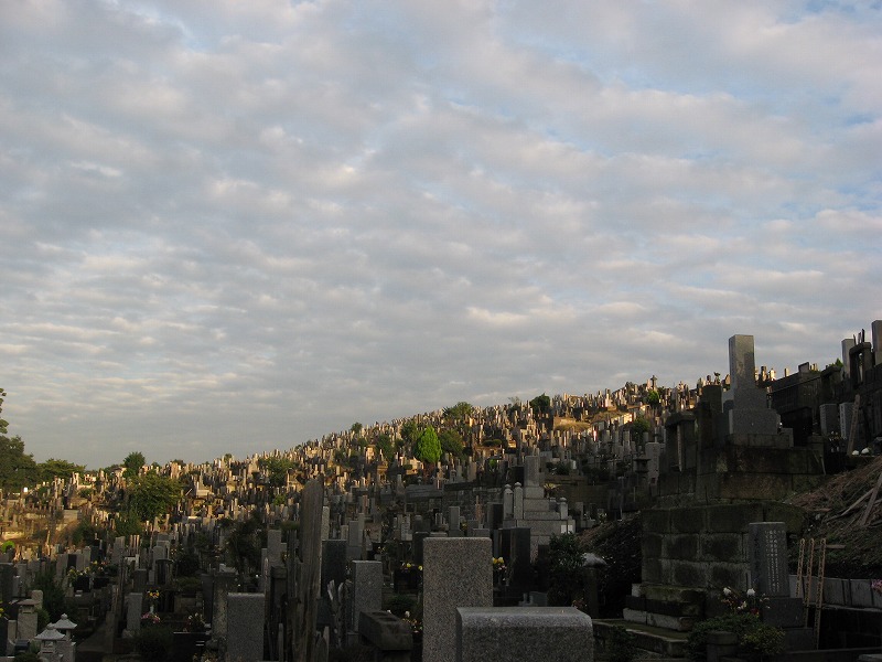 d0011406_14372874.jpg