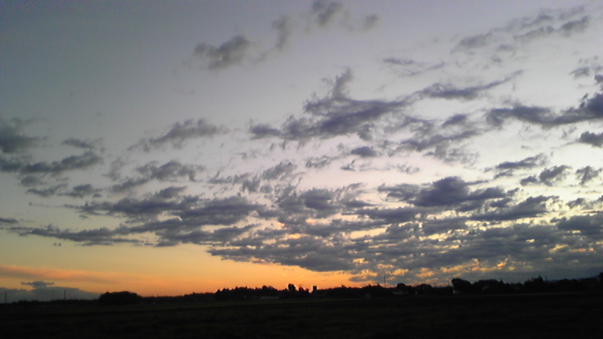 f0185710_2246422.jpg