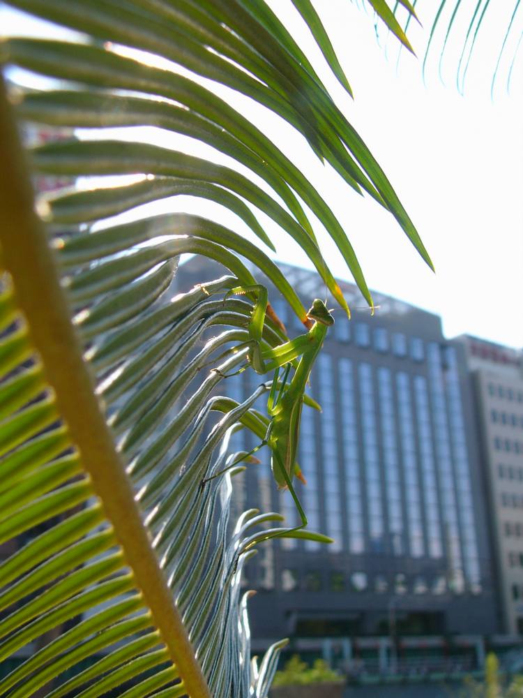 c0062511_6213785.jpg