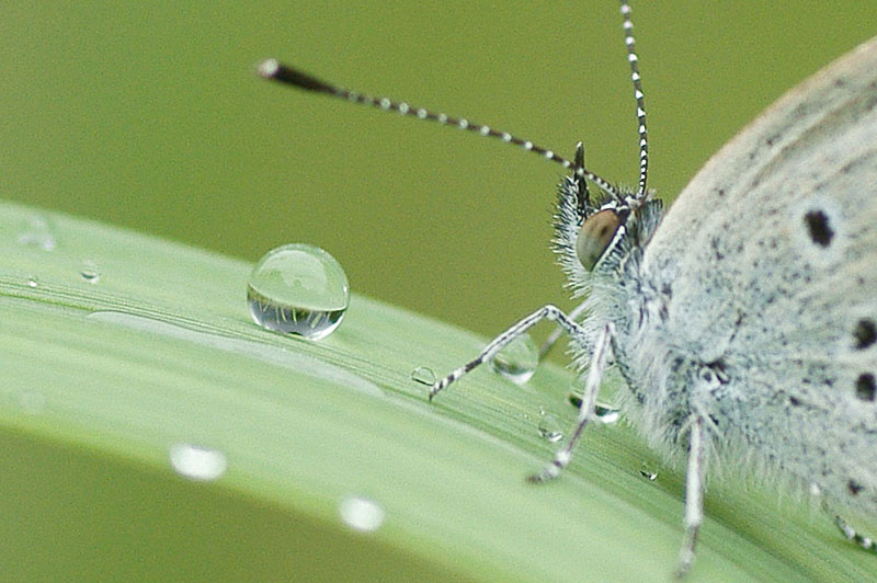 d0089024_15102248.jpg