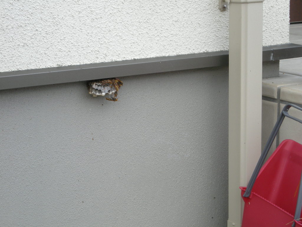 f0180226_1784661.jpg