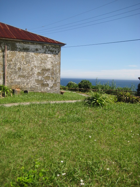 d0147727_1822524.jpg