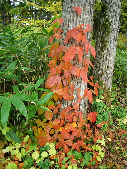 e0025030_17221050.jpg