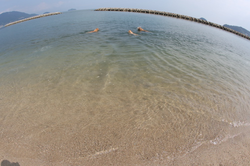b0139033_20322476.jpg