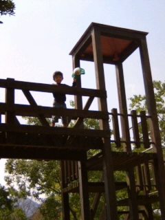 c0100534_855254.jpg