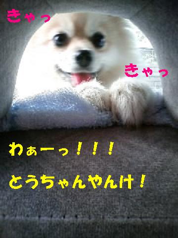 c0179136_2361679.jpg