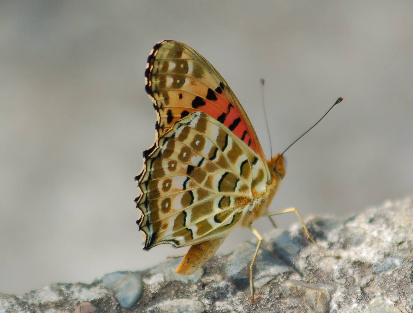 f0164137_23554443.jpg