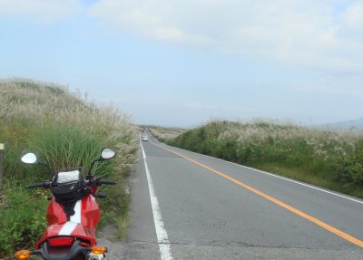 c0025938_13574797.jpg