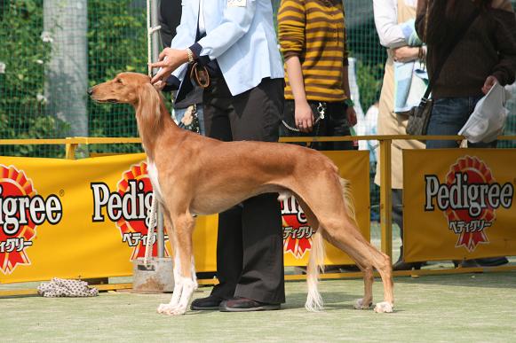 f0039538_2134519.jpg